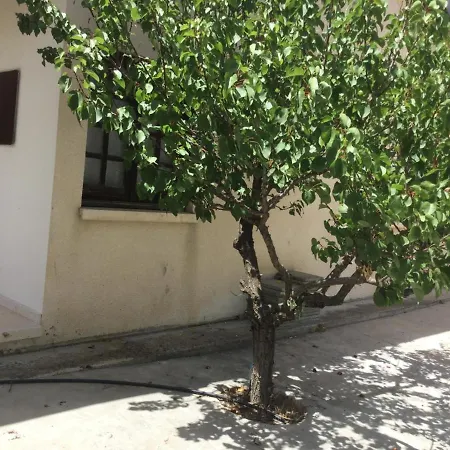 Holiday home Village House-enjoy Cyprus Vacation Praitori